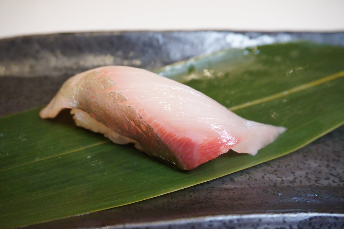 Shima-aji 縞鯵 / Striped Jack