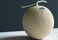 CROWN MELON SHIZUOKA JAPAN