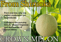 CROWN MELON SHIZUOKA JAPAN