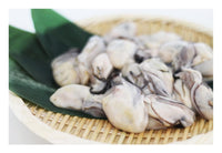 Oyster Meat for cooking
