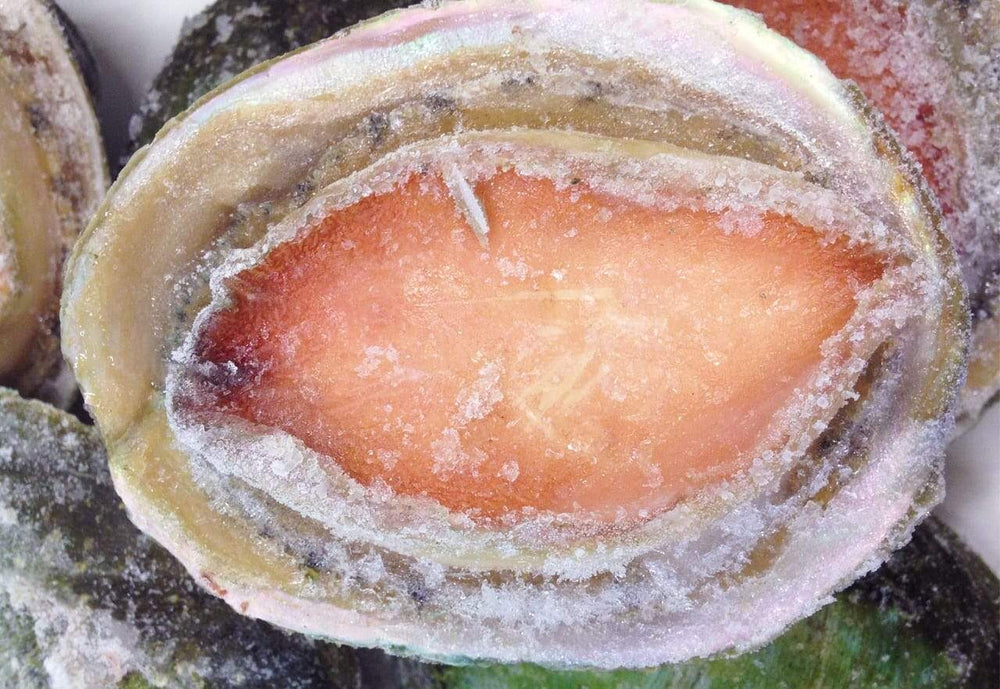 SHELLFISH