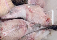 [FRESH FISH COUNTER] Monk Fish WHOLE Fresh Fillet