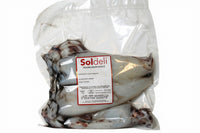 Frozen Squid Whole