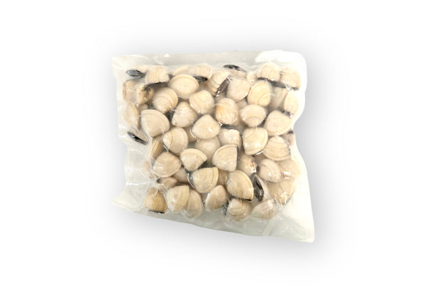[CLEARANCE] Whole Clam Cooked