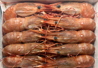 Botan Ebi Whole 500g