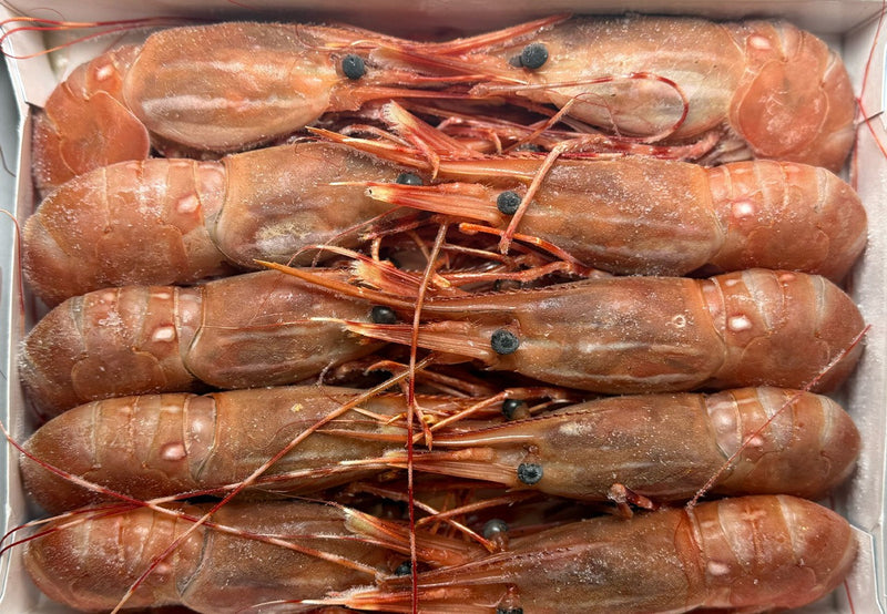 Botan Ebi Whole 500g