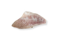 Madai Fillet Japanese Red Bream
