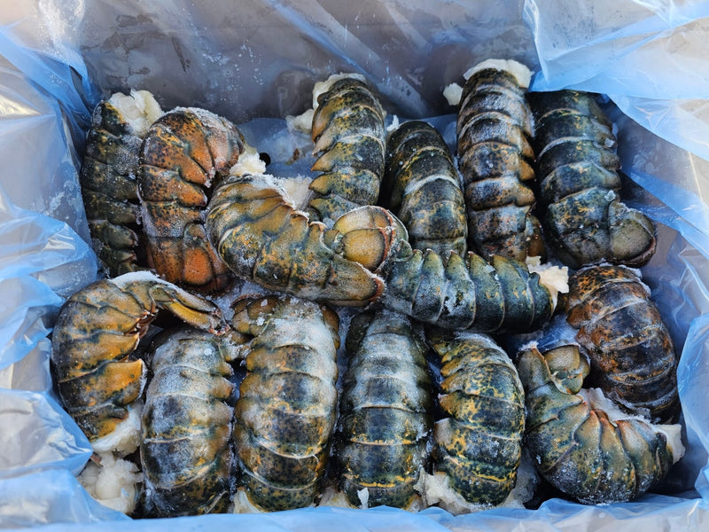 Lobster Tail Raw 1pc