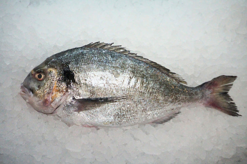 [FRESH FISH COUNTER] Sea Bream WHOLE Fresh Fillet