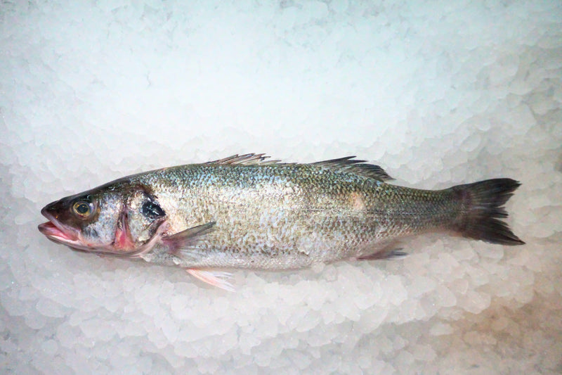 [FRESH FISH COUNTER] Sea Bass WHOLE Fresh Fillet