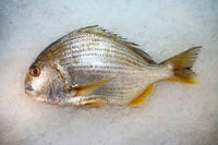 [FRESH FISH COUNTER] Yellow Bream WHOLE Fresh Fillet