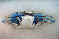 [FRESH FISH COUNTER] Flower Crab (Male) WHOLE Fresh