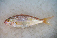 [FRESH FISH COUNTER] Pink Perch / Japanese Bream WHOLE Fresh Fillet