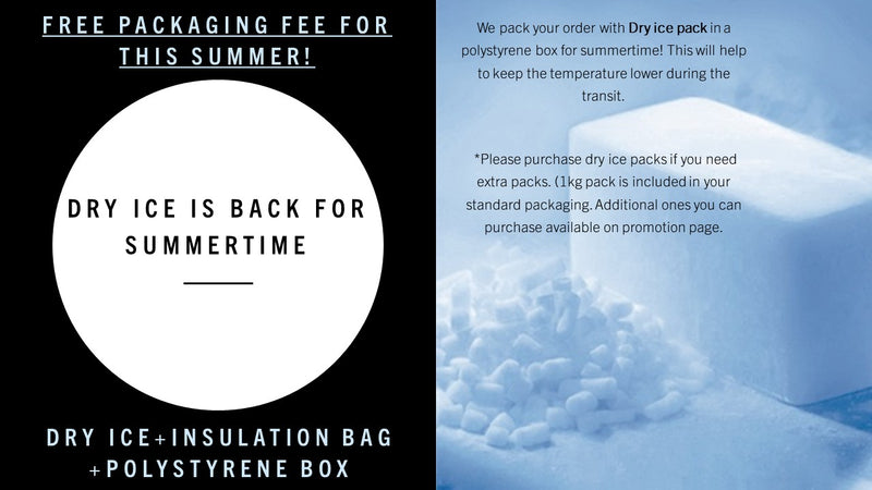 Dry ice pack 1kg size