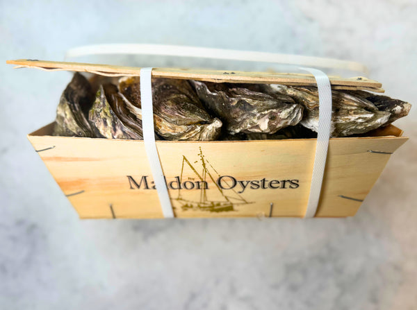 [FRESH FISH COUNTER] Rock Oyster WHOLE Fresh