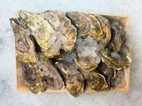[FRESH FISH COUNTER] Rock Oyster WHOLE Fresh