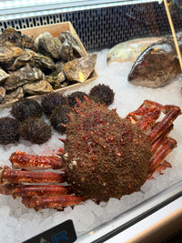 [FRESH FISH COUNTER] Spider Crab WHOLE Fresh