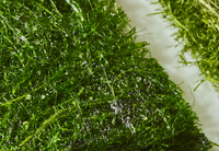 GAMTAE Roasted Premium Seaweed 18g
