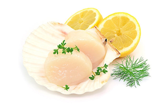 Scallops Meat for SUSHI