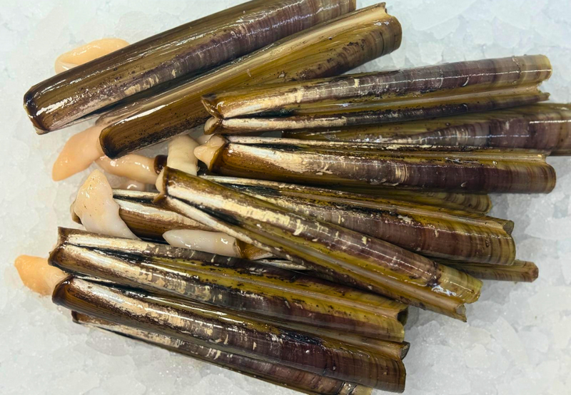 [FRESH FISH COUNTER] Razor Clams WHOLE Fresh
