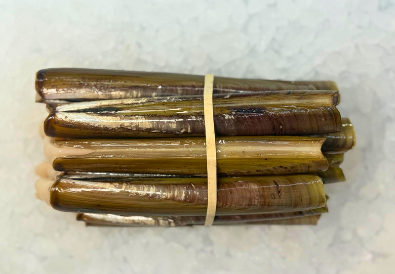 [FRESH FISH COUNTER] Razor Clams WHOLE Fresh