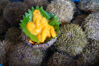 [FRESH FISH COUNTER] Uni Sea Urchin WHOLE Fresh