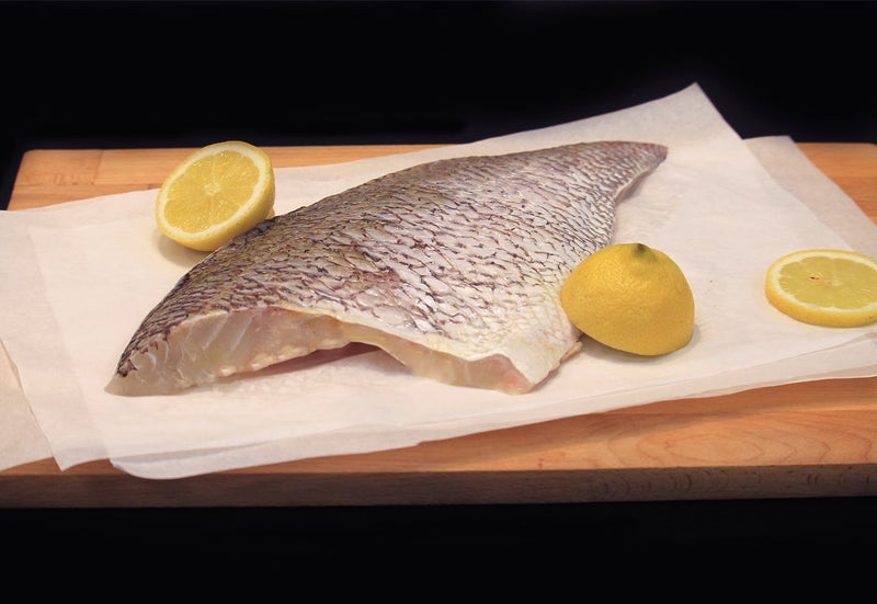 Madai Fillet | Japanese Red Bream