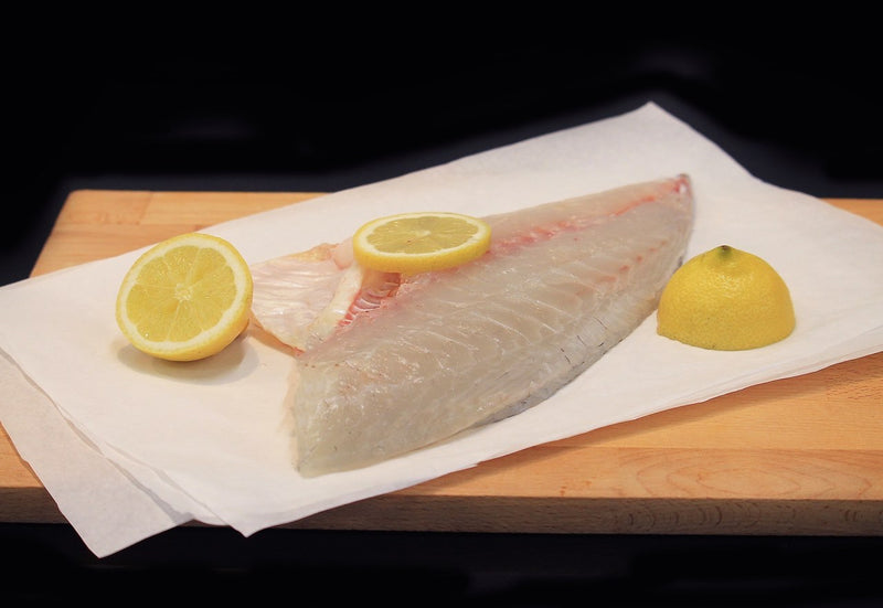 Madai Fillet | Japanese Red Bream